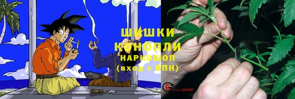 гидра Аркадак