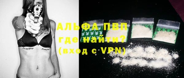 хмурый Арсеньев