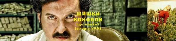 гидра Аркадак