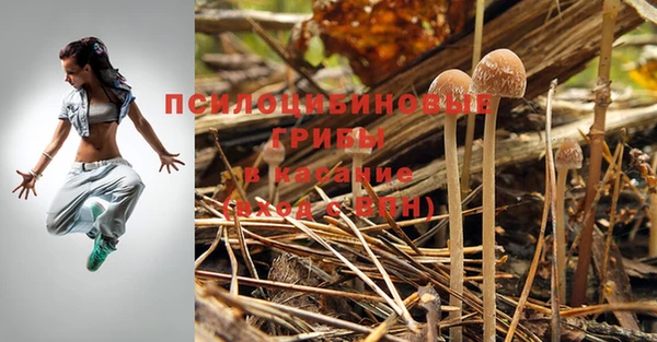 хмурый Арсеньев
