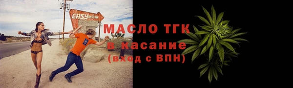 хмурый Арсеньев