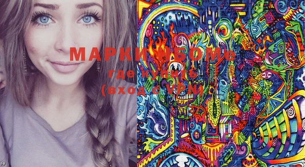 хмурый Арсеньев